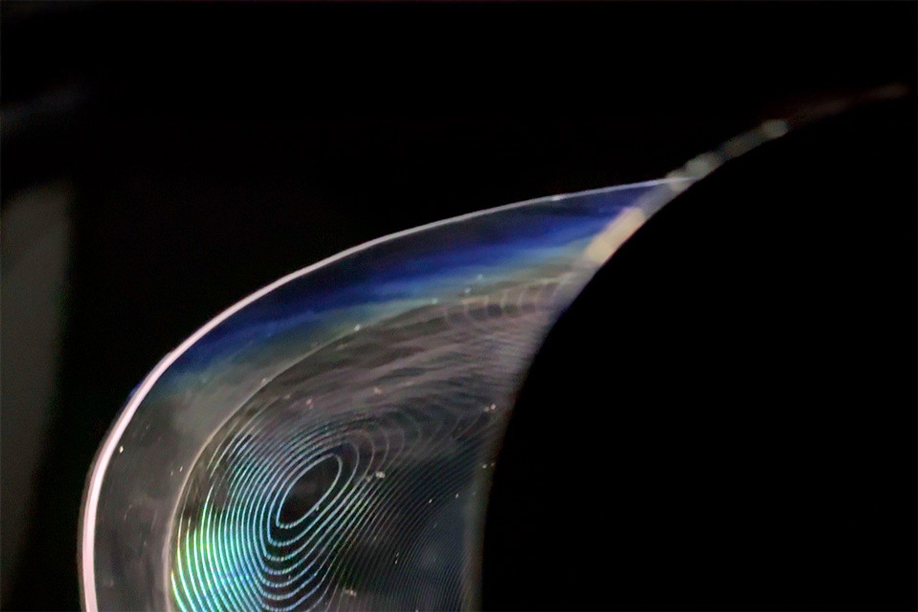 Singularities: Of Primordial Black Holes image