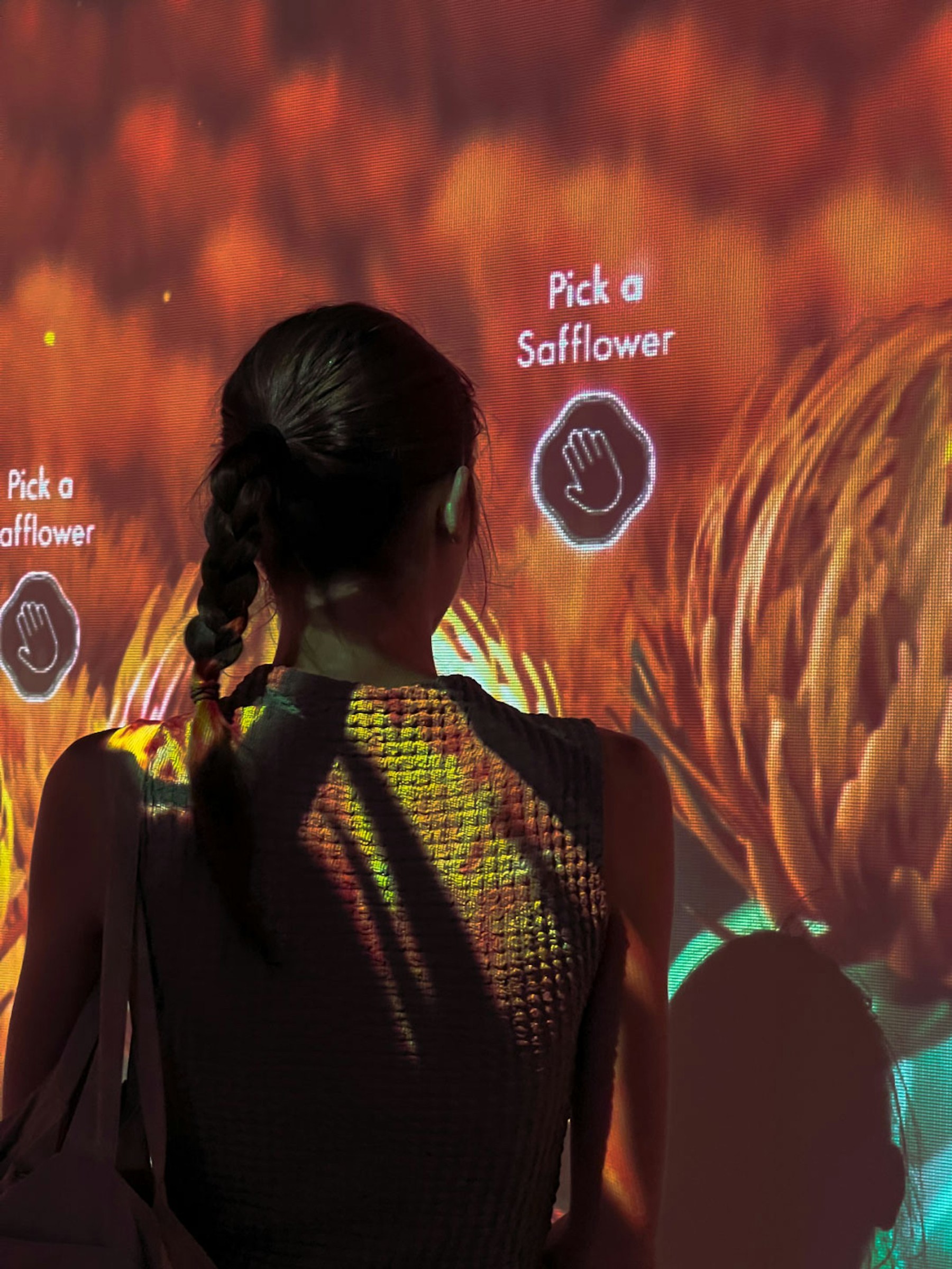 Shiseido — Mogami Safflower Flower Field image