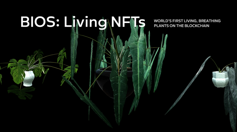 BIOS: Living NFTs header