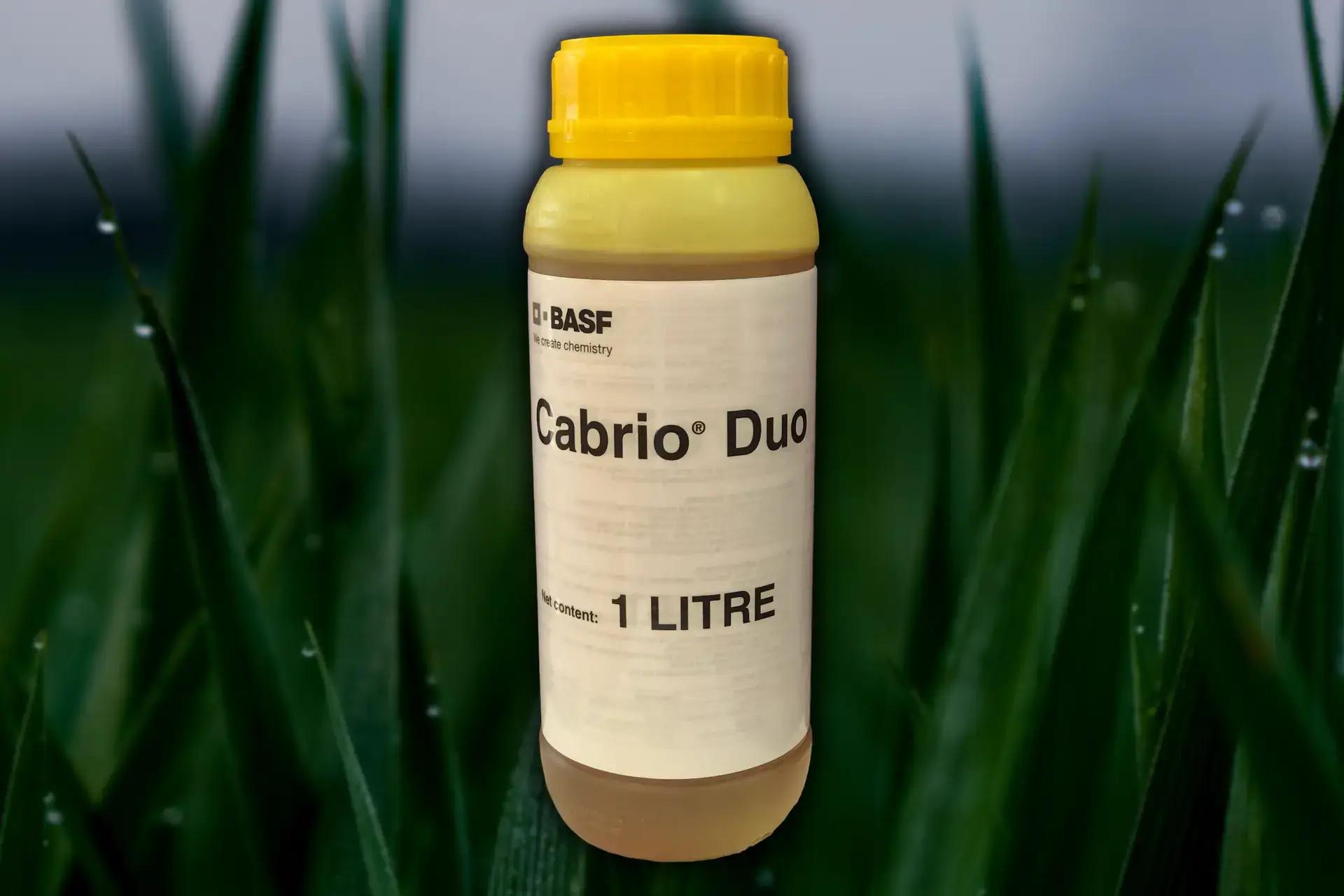 cabrio-duo