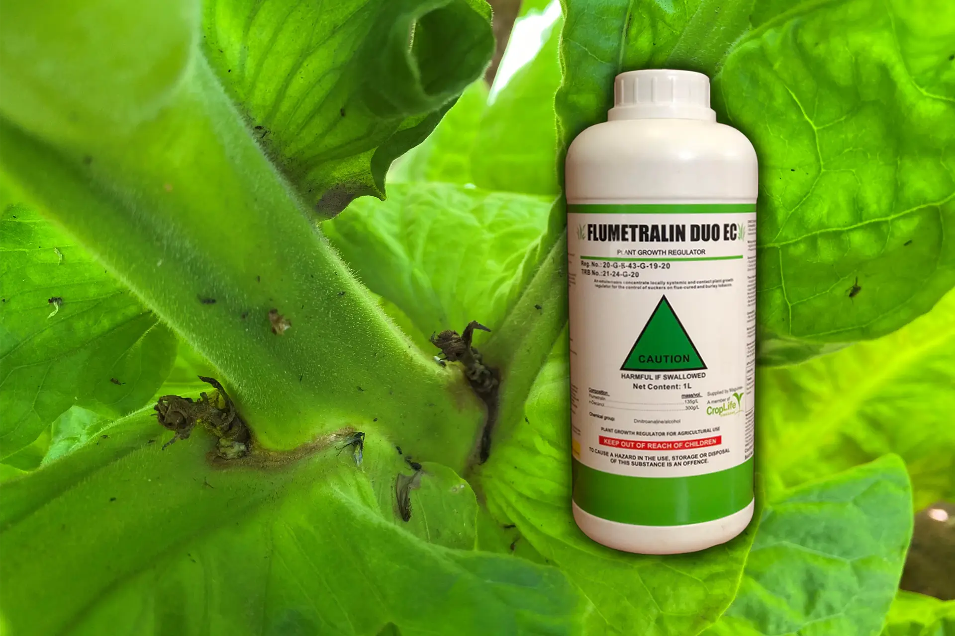 Flumetralin Duo