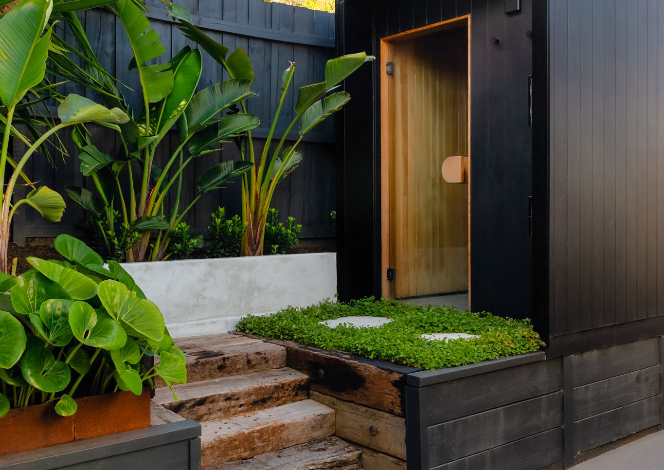 Torquay lush tropical pool and landscape design sauna