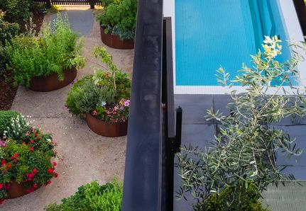 Jan Juc project elevated pool looking down to the side with veggie gardens in round corten steel
