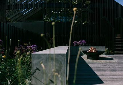 Billy Button plants in landscape architecture and garden design project with firepit by Mint in Melbourne