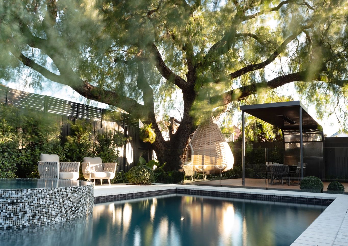 pool under large tree with hanging seat