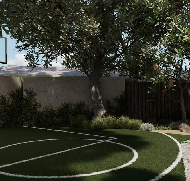backyard basketball court with surrounding native Australian landscape