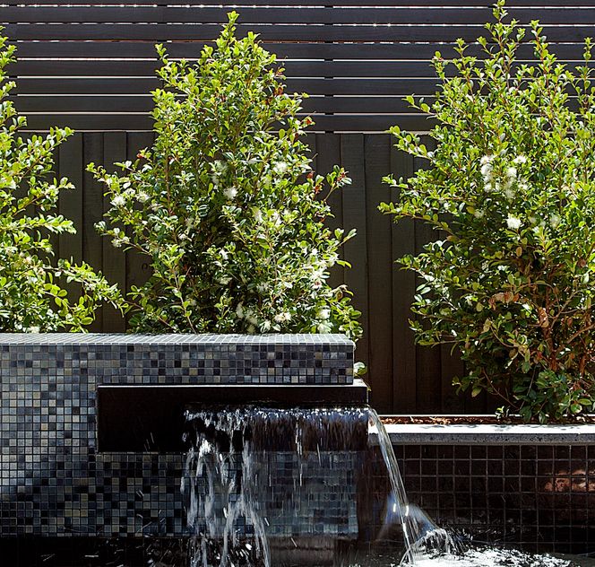 water feature in pool  landscape design in Camberwell Melbourne