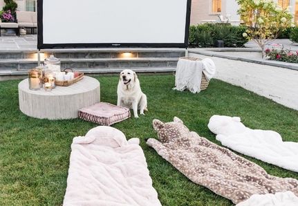 garden cinema with dogs