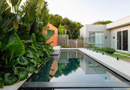 Torquay lush tropical pool and landscape design