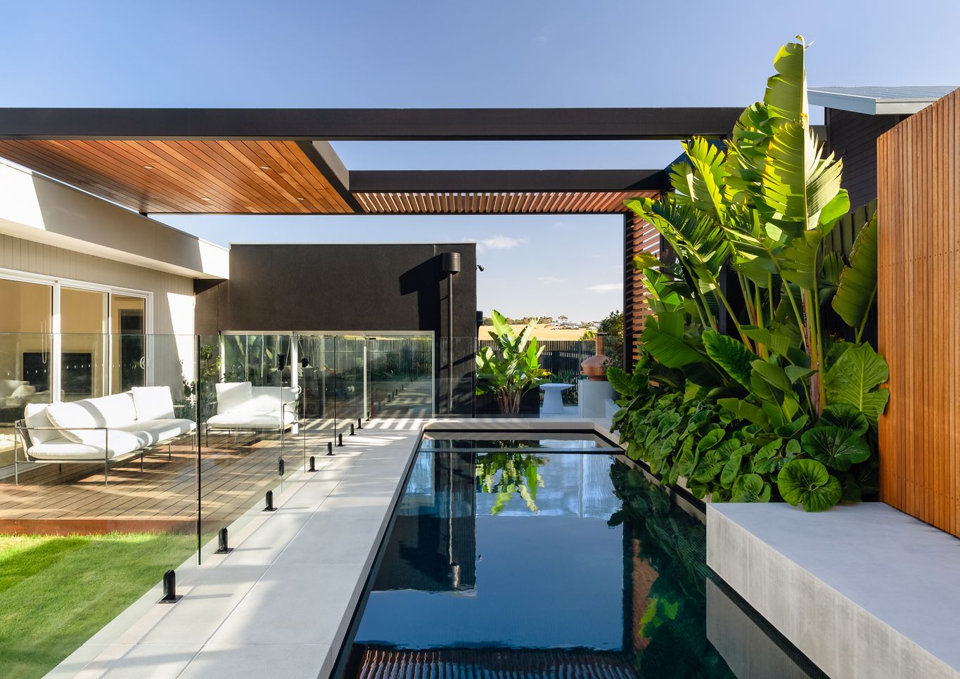 Torquay pool and landscape with lush tropical elephant ears and Ligularia reniformis featured in Interiors Addict