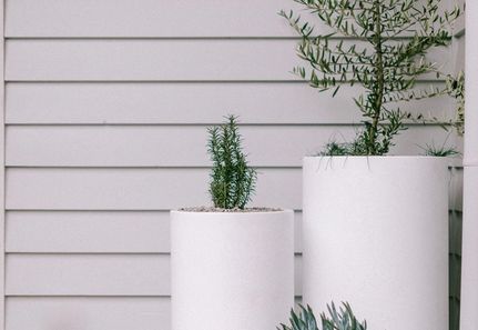 Potted plant cluster in white with herbs