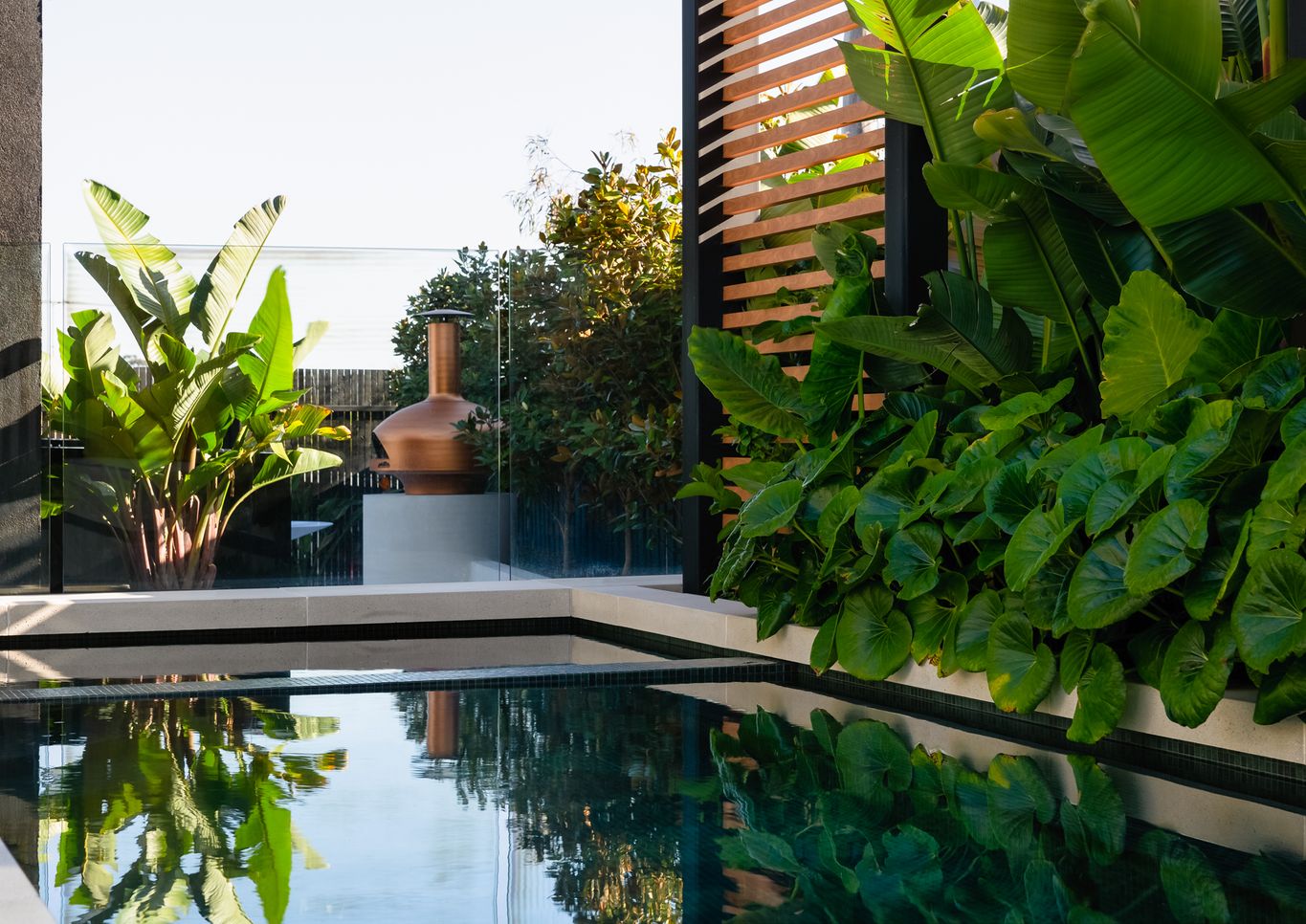 Torquay lush tropical pool and landscape design seen in Interiors Addict