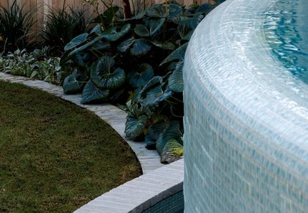 Poolside garden with ligularia renformis