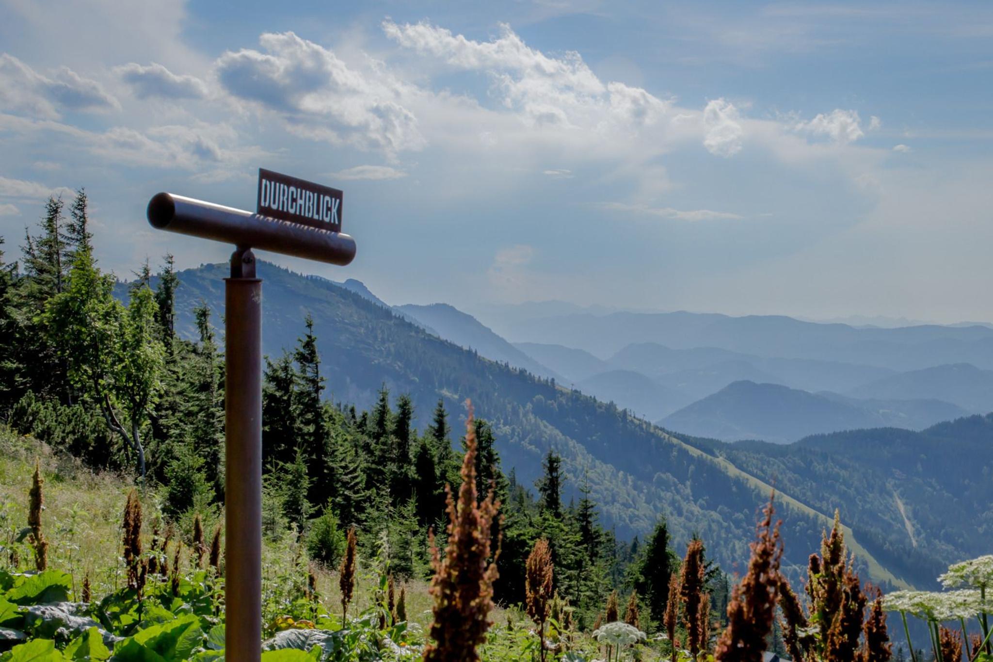 Fernrohr mit grünem Wald und Berg Panorama im Hintergrund
