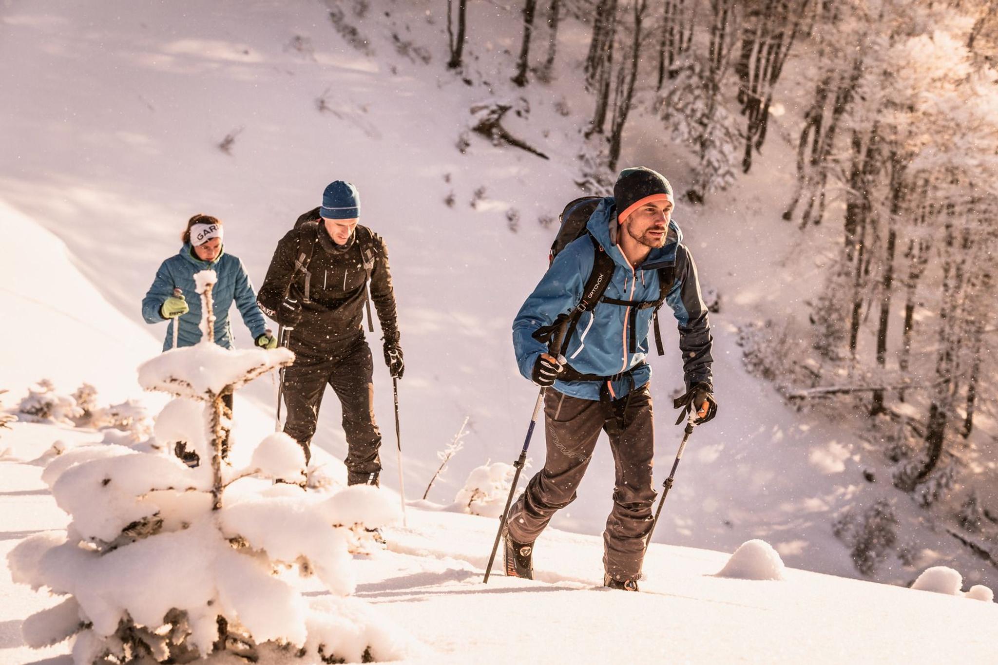 Drei Schneeschuhwanderer marschieren durch den verschneiten Wald