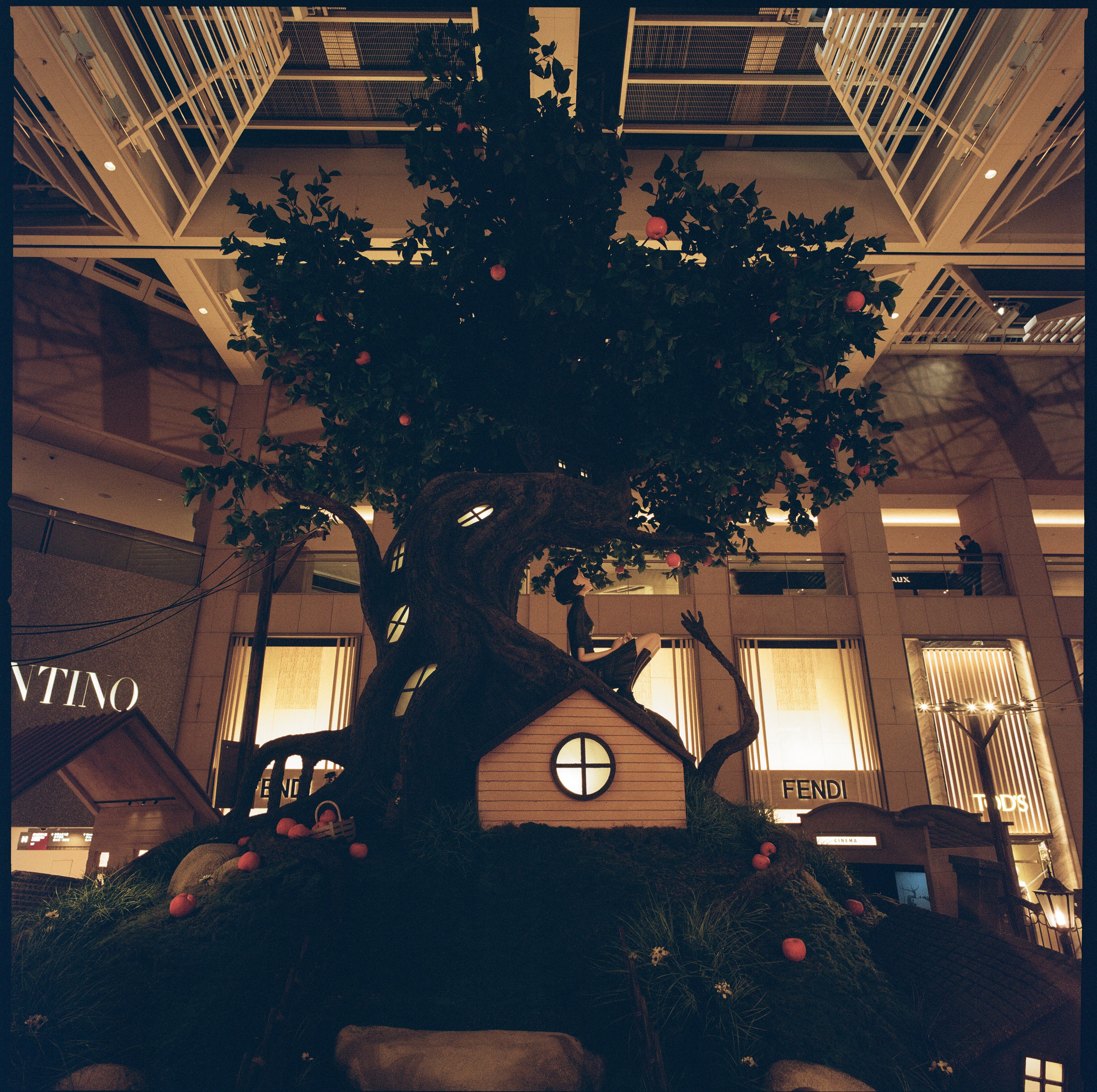 Indoor fantasy tree with glowing windows, red fruit and a small cottage beneath its branches