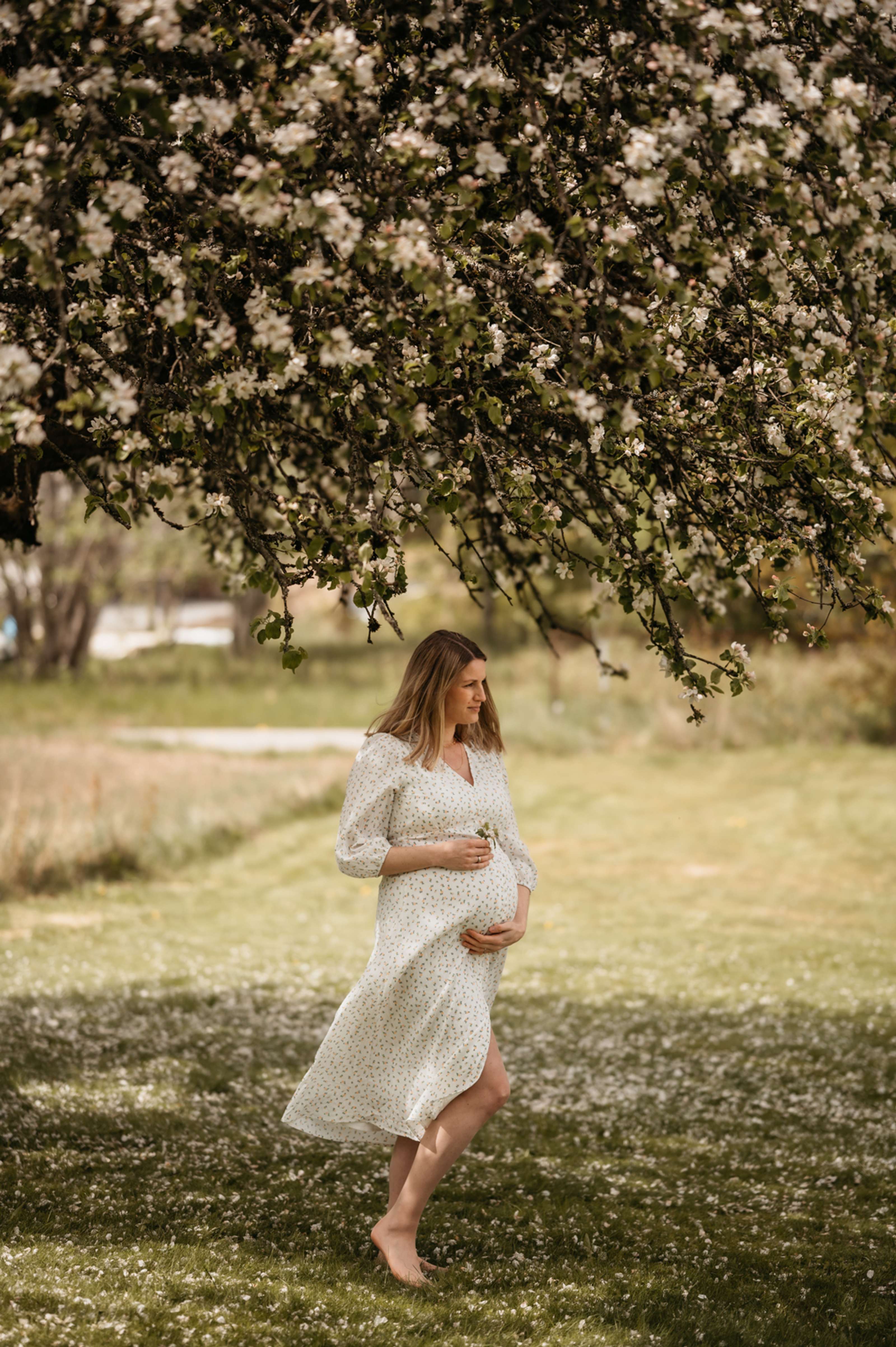 Gravid under epletre