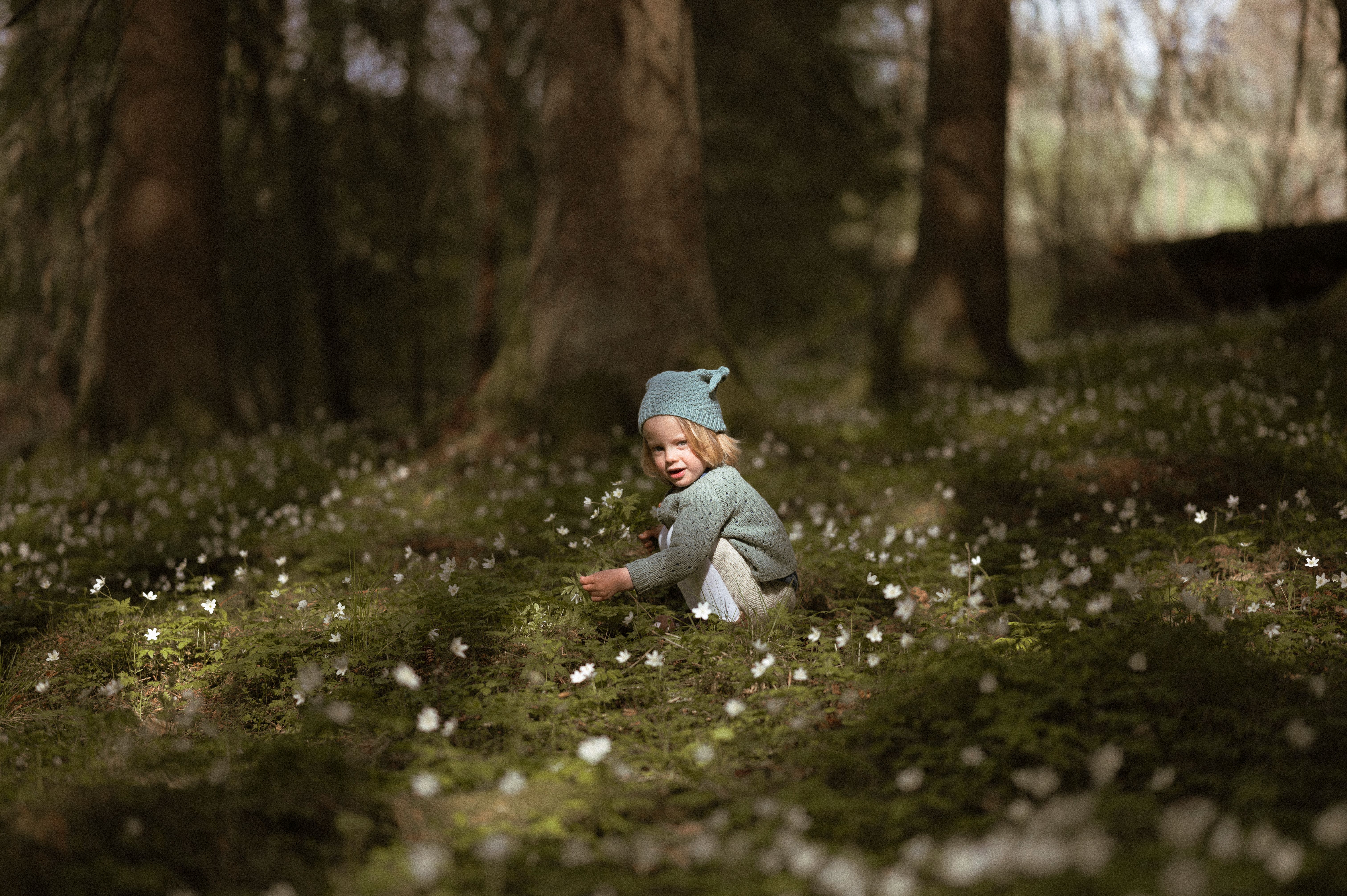 Søt liten gutt i eventyrskogen med hvitveis på bakken - Familiefotograf i Lillestrøm