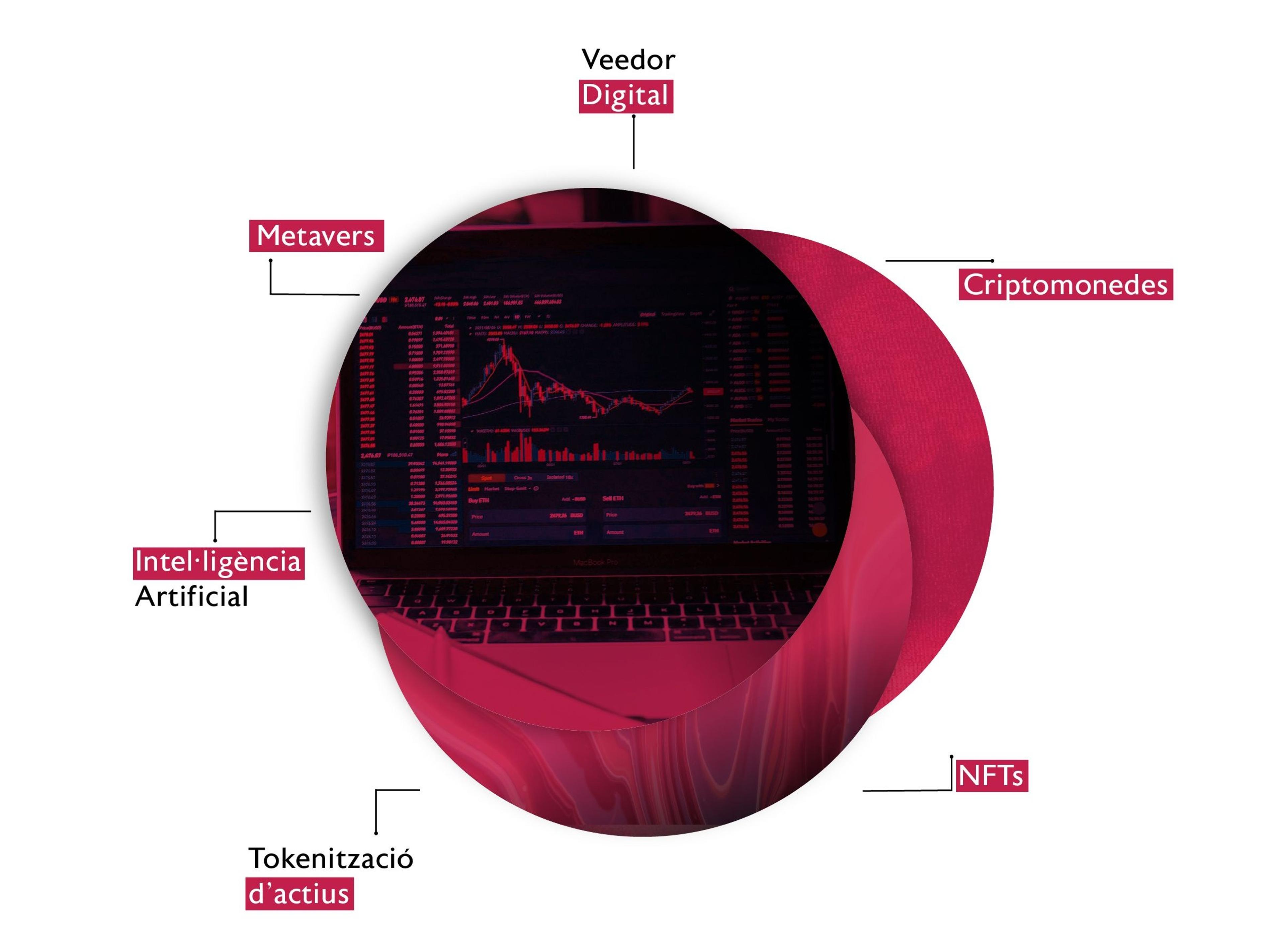 especialització-image-2