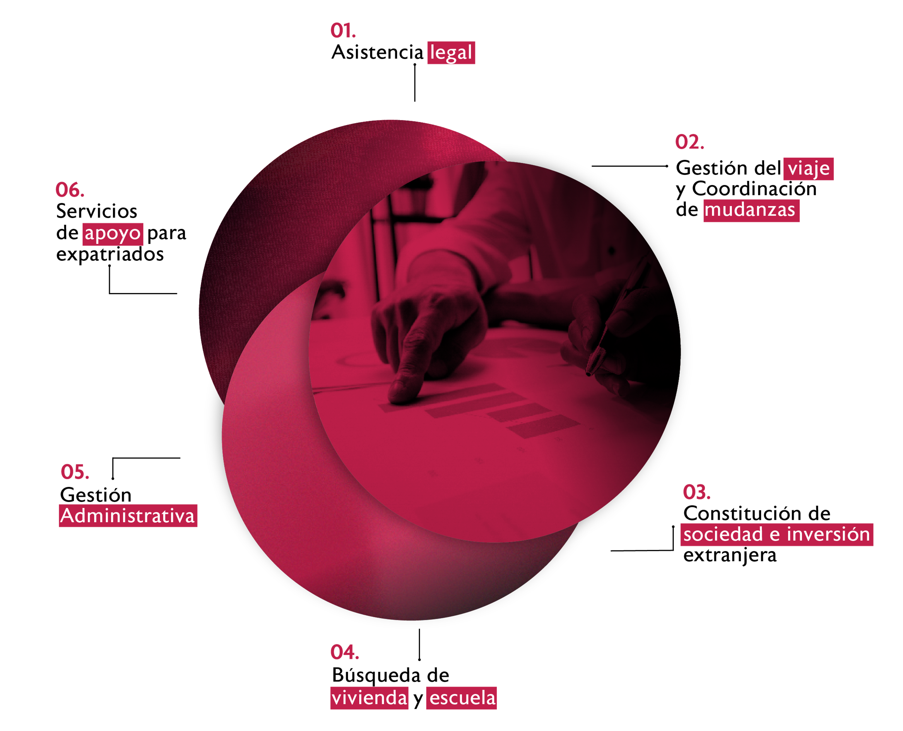 especializacion-image-2