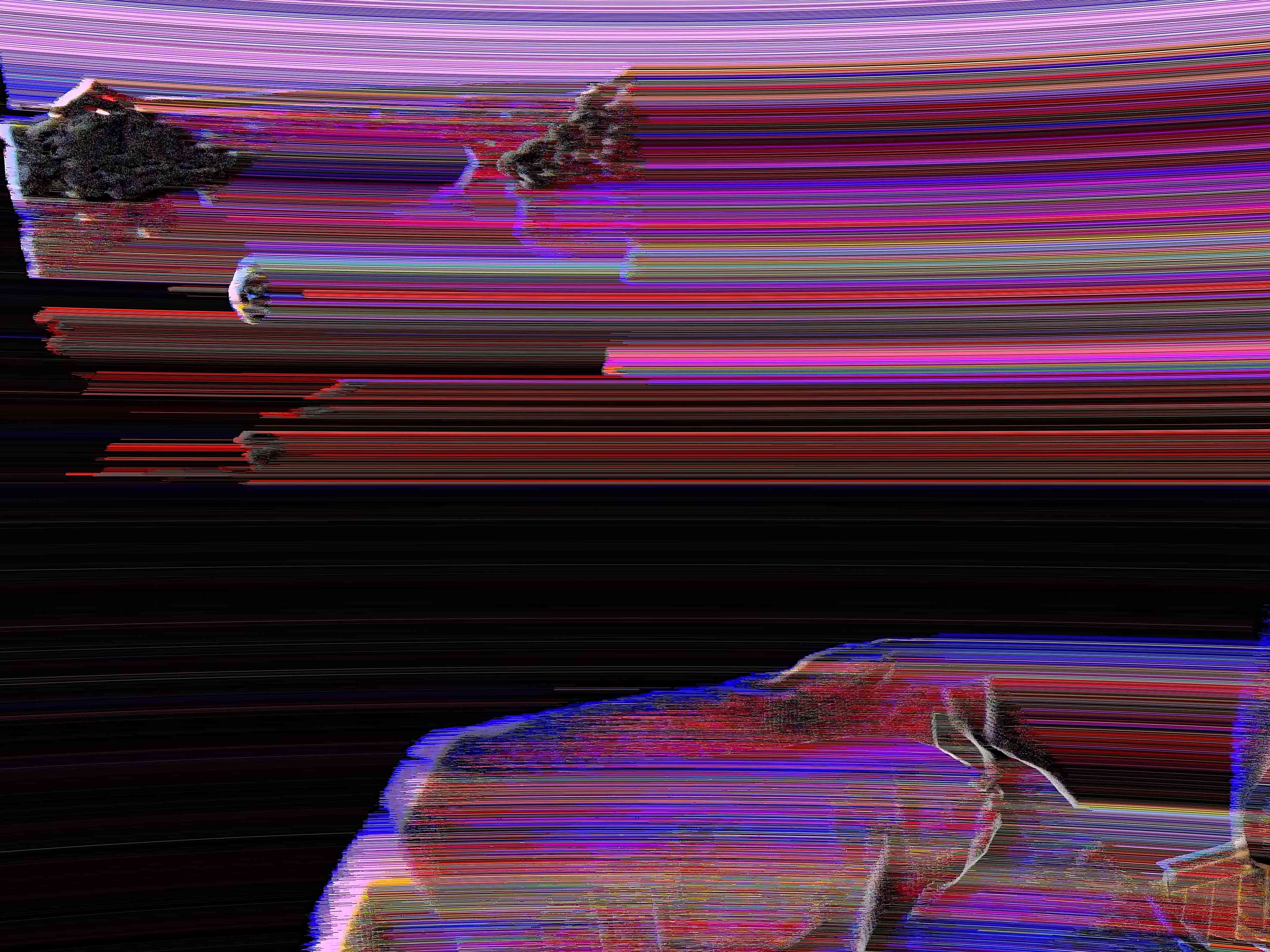 Glitch!, 2018
