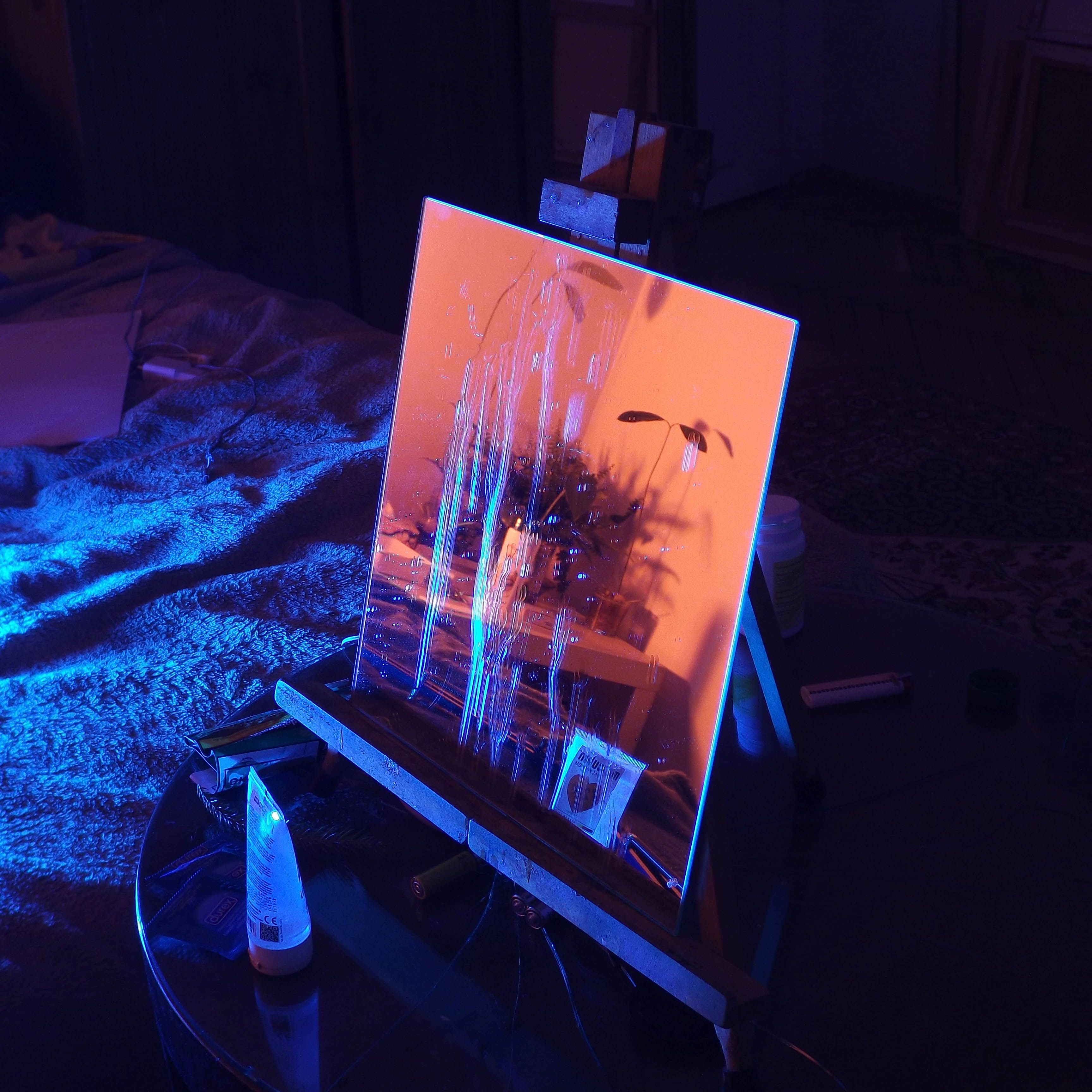 Intimate spaces, 2019