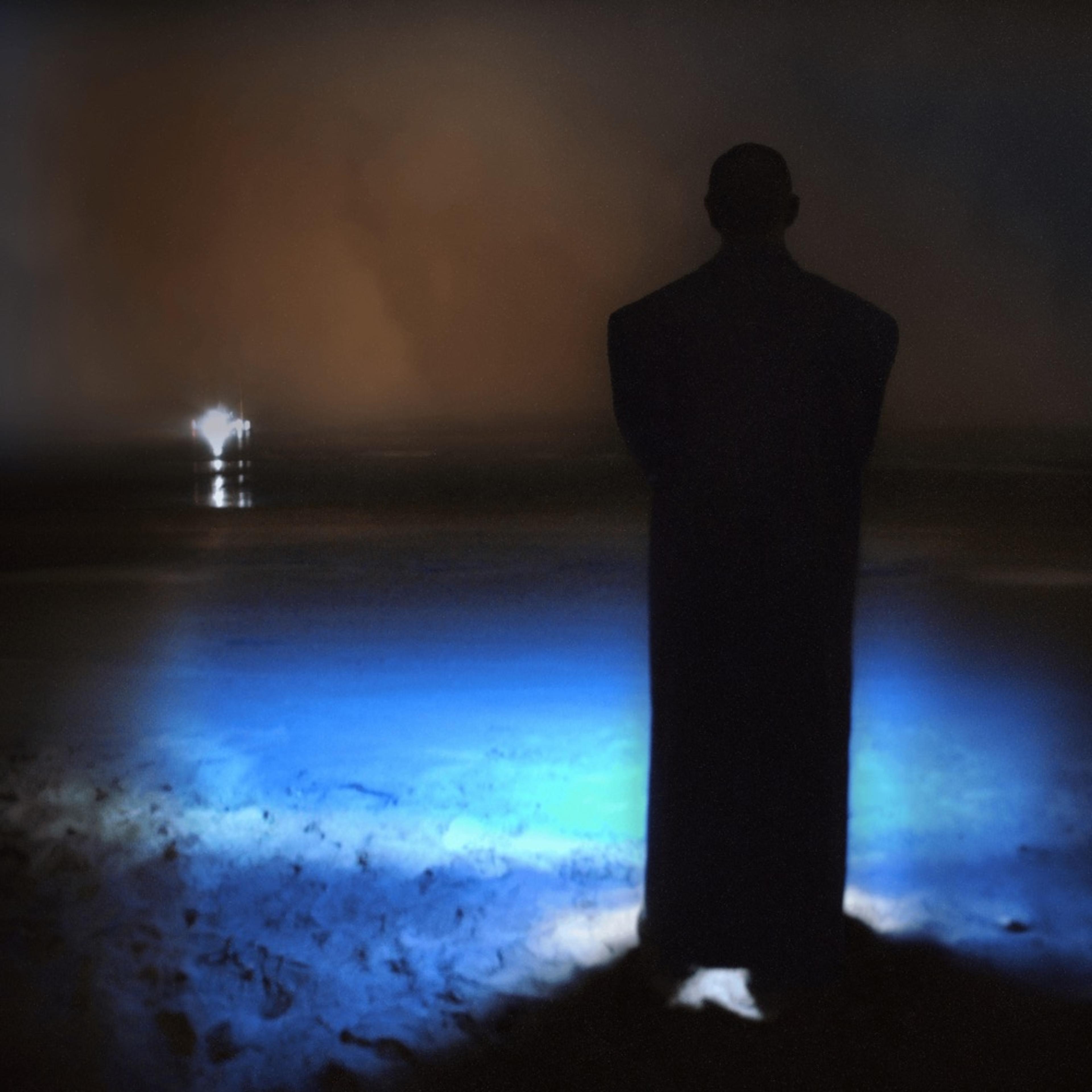 Artwork for Inside Every Last Fire by Sandy's Trace