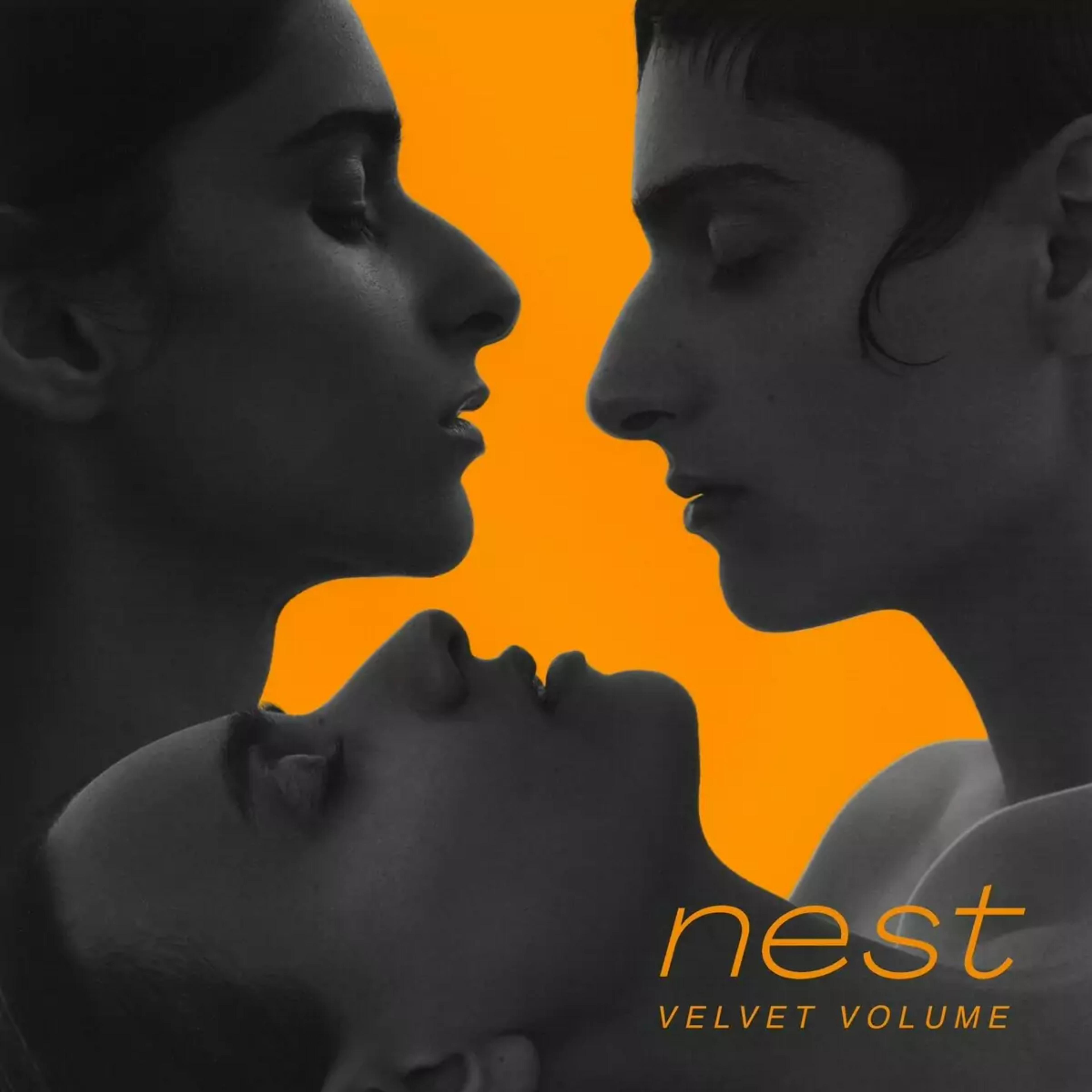 Artwork for Nest by Velvet Volume
