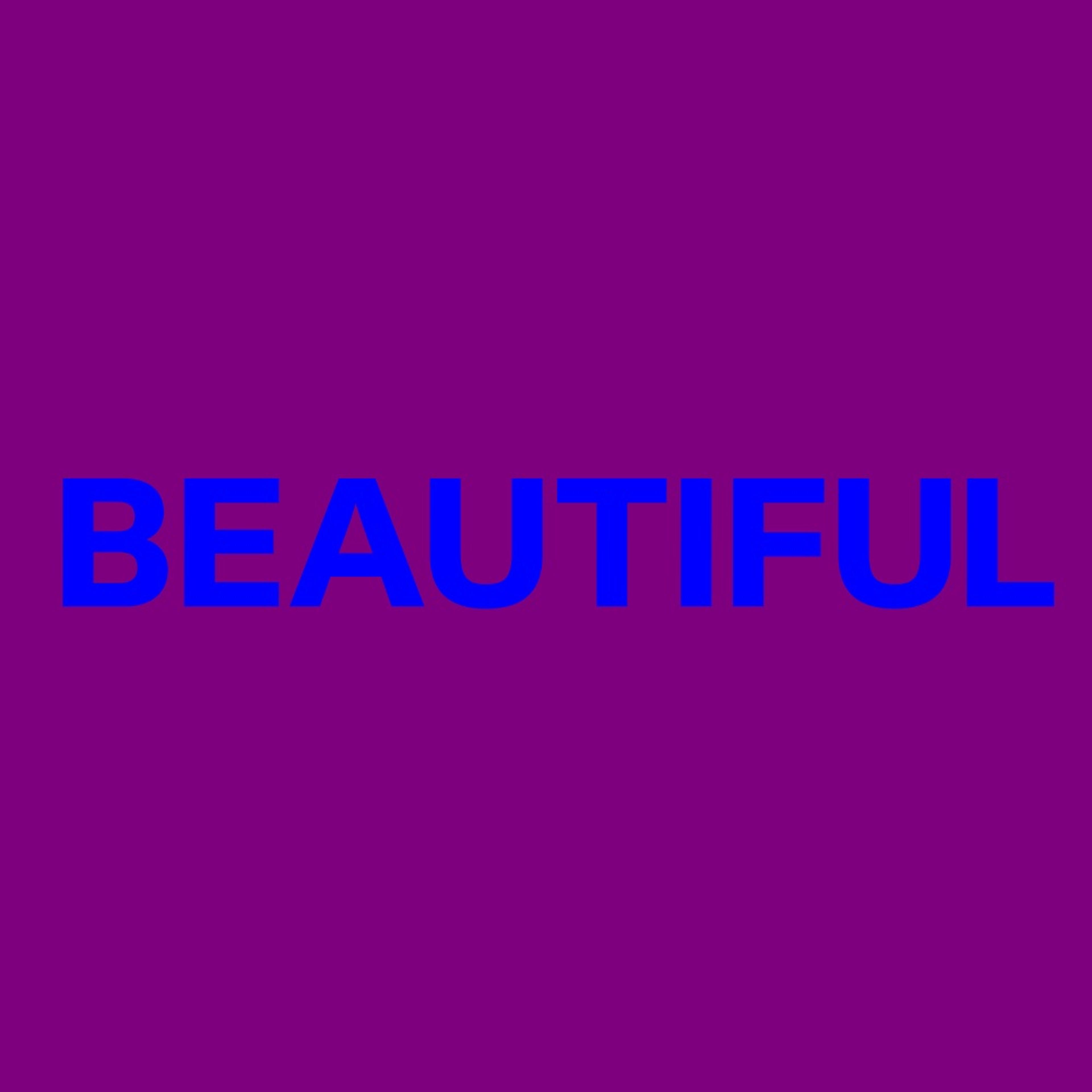 Artwork for Beautiful by Hekt
