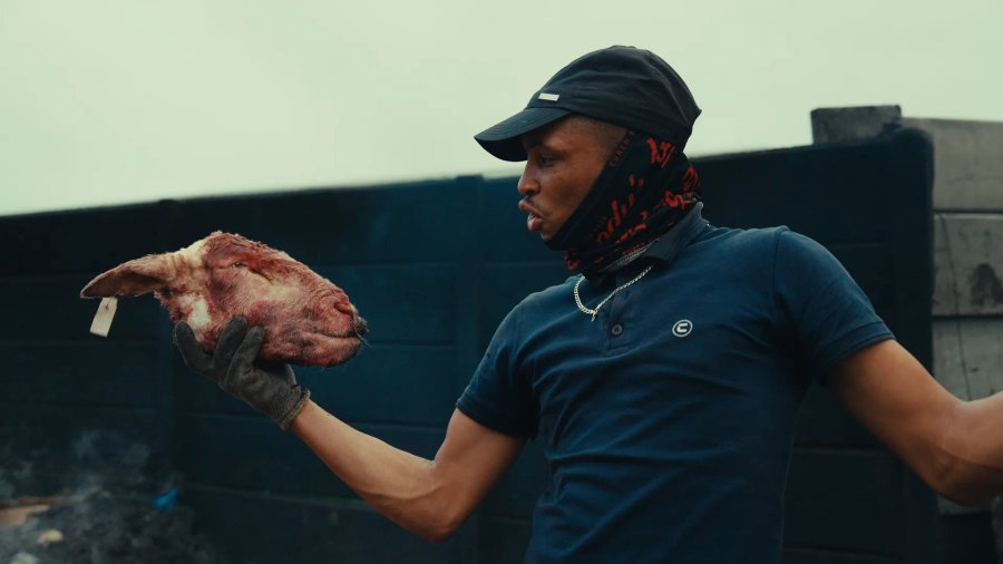 Still 2026-03-03 162806_1