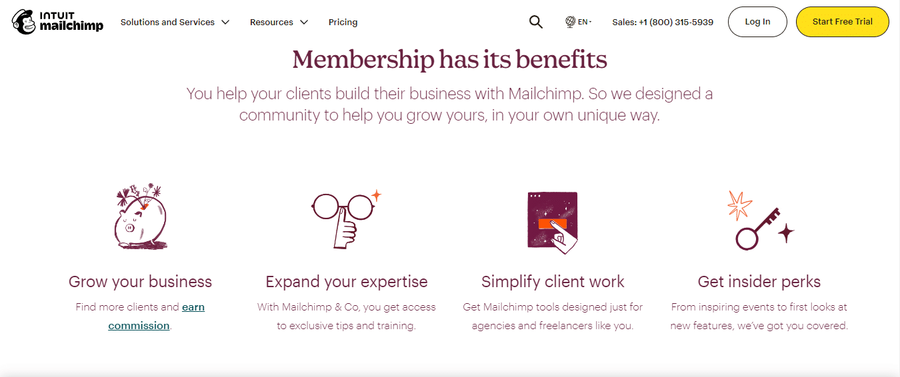 b2b loyalty program by mailchimp