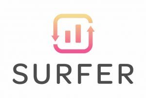 Surfer logo