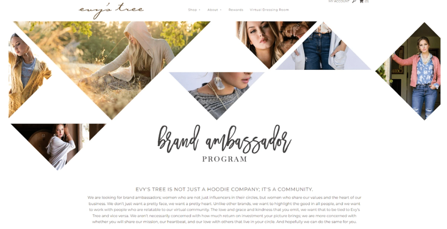 brand ambassador application example