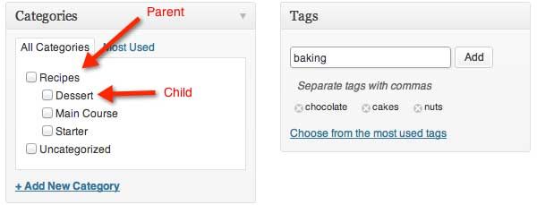 Wordpress categories and tags