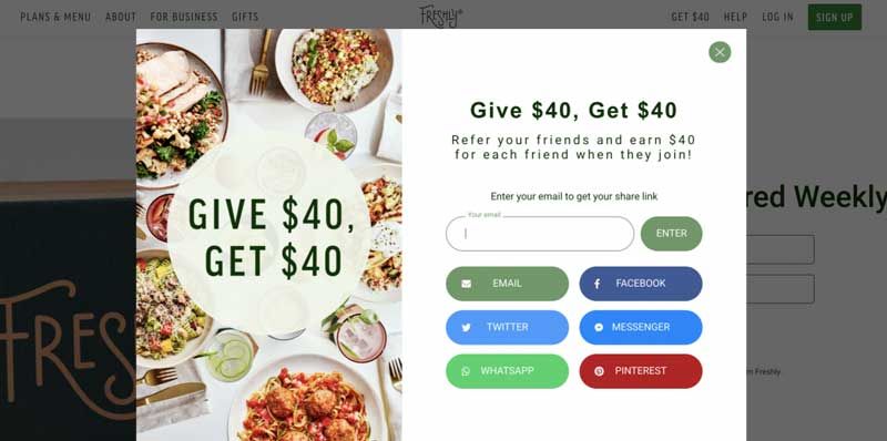 Referral program promotion freshly