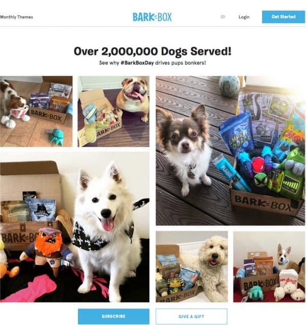Barkbox ugc