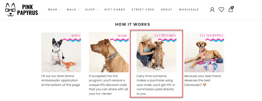 pink papyrus brand ambassador perks