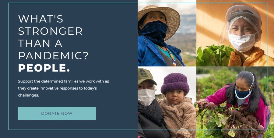 heifer international call to action