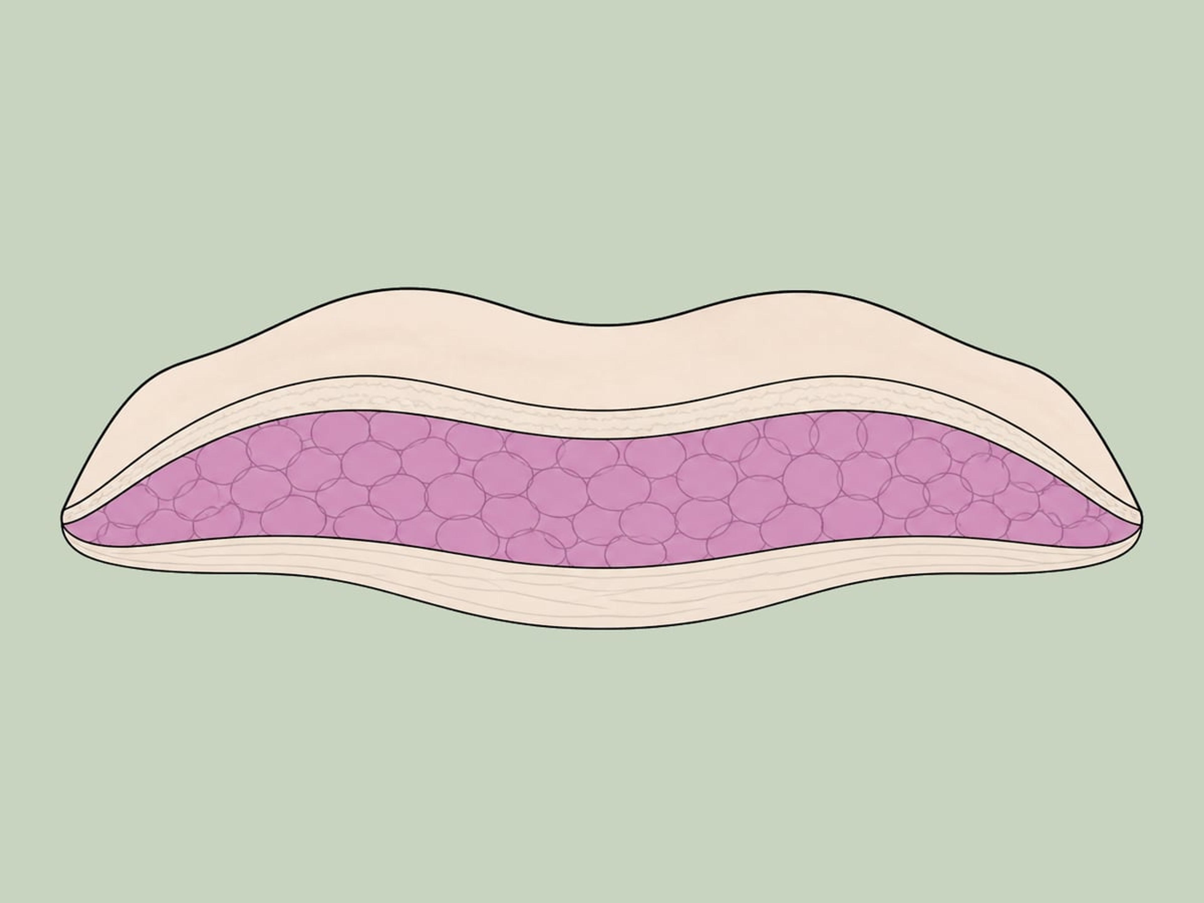 Eigenfetttransfer in die großen Schamlippen — illustration