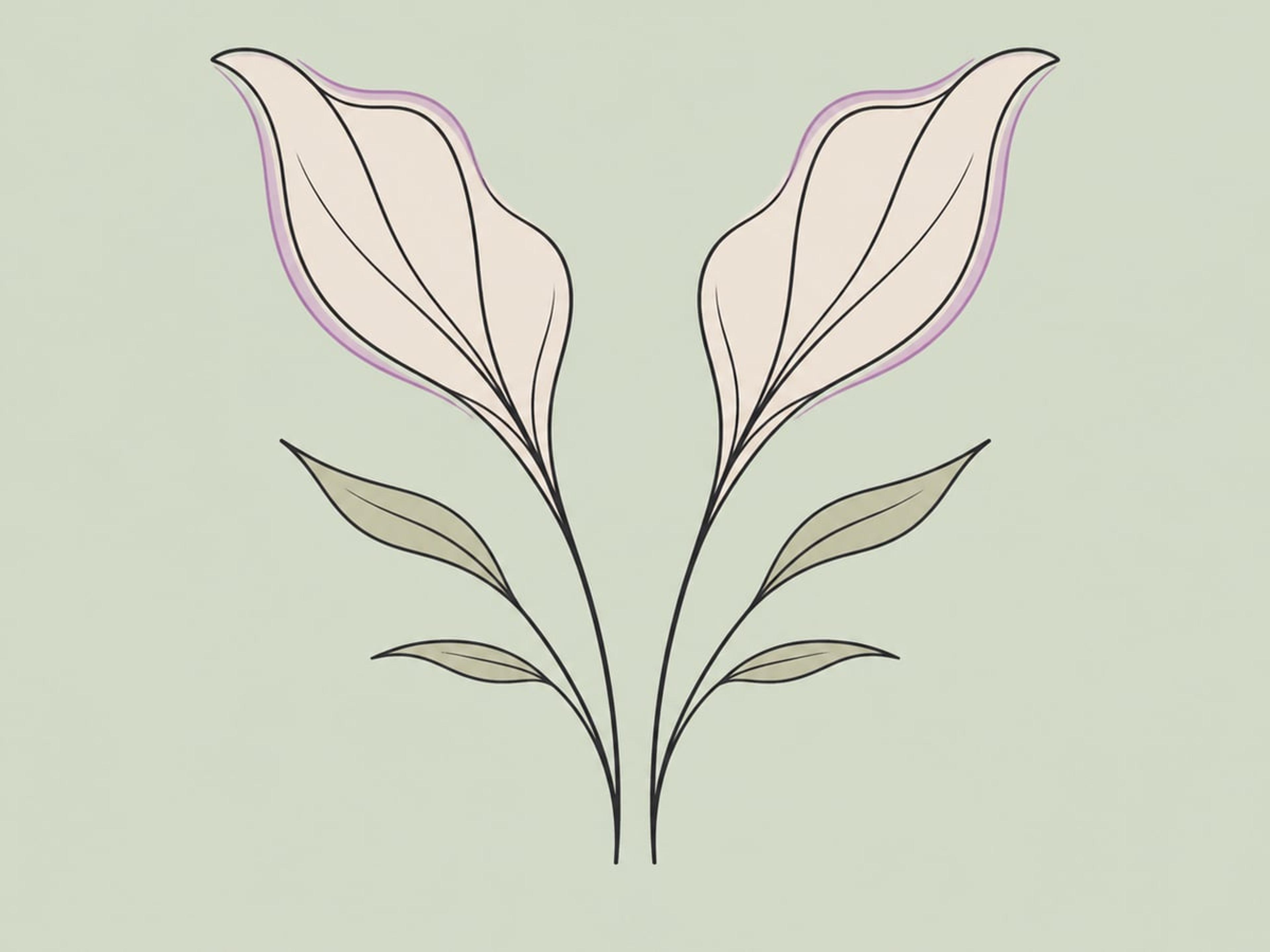 Trim-Technik — illustration