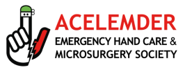 Emergency Hand Care & Microsurgery Society