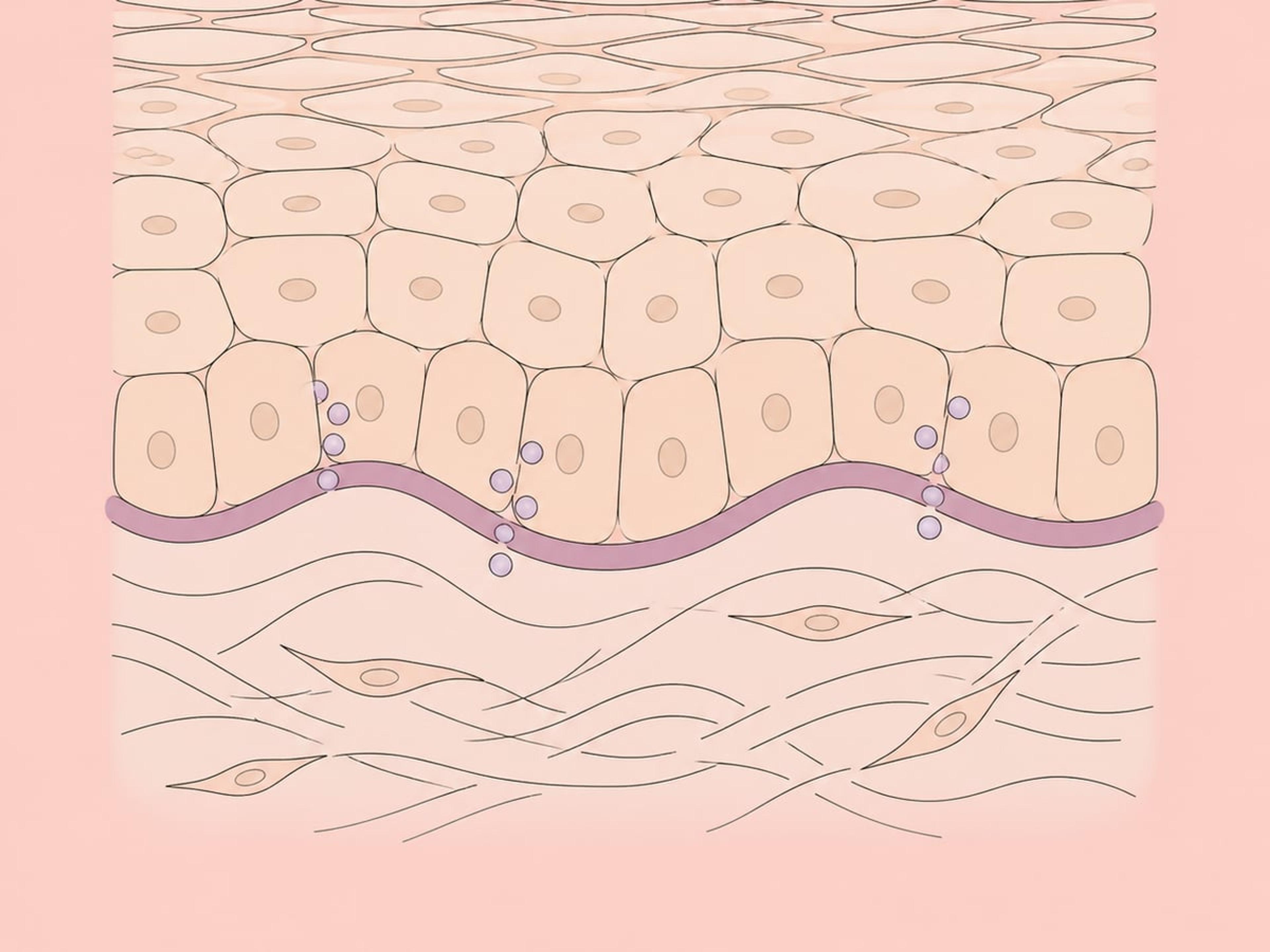 Exosomen-Therapie — illustration