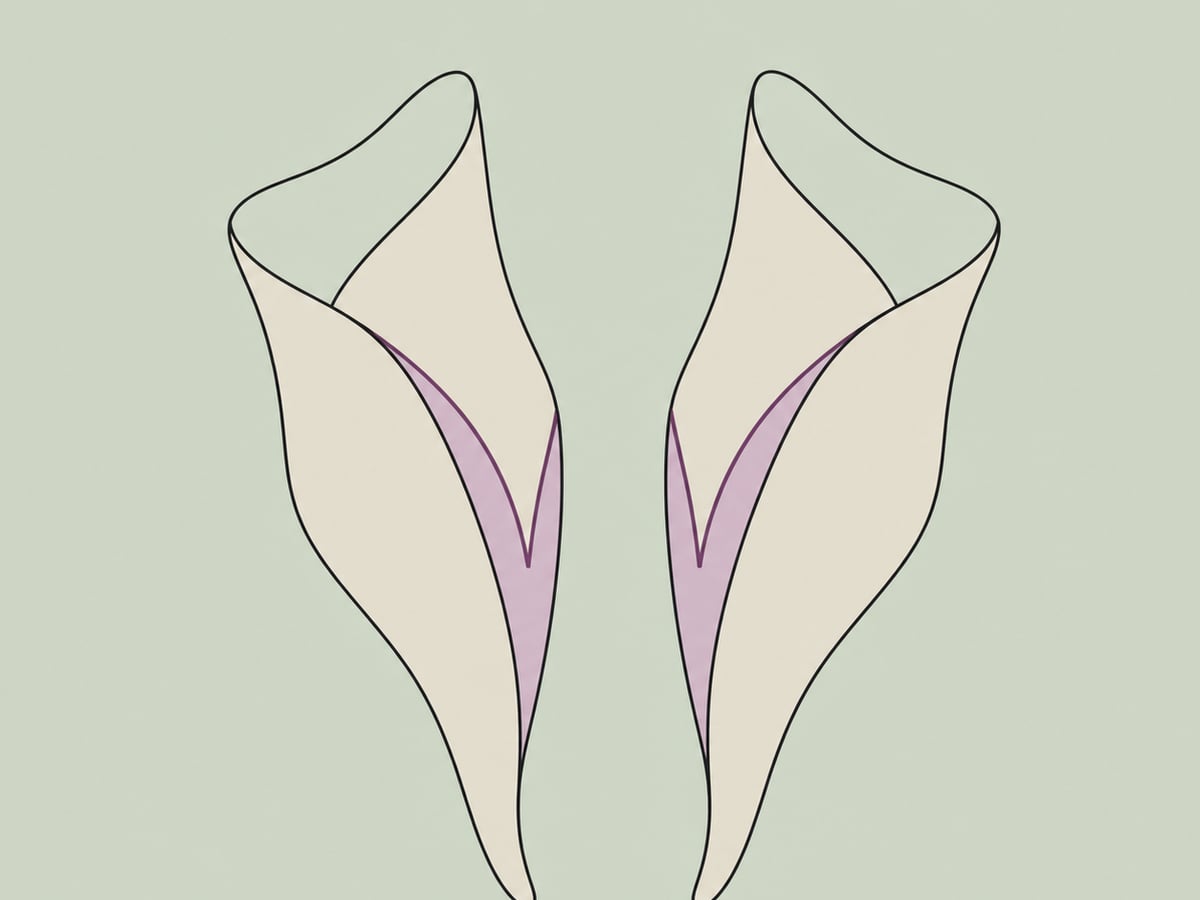 Keiltechnik — illustration
