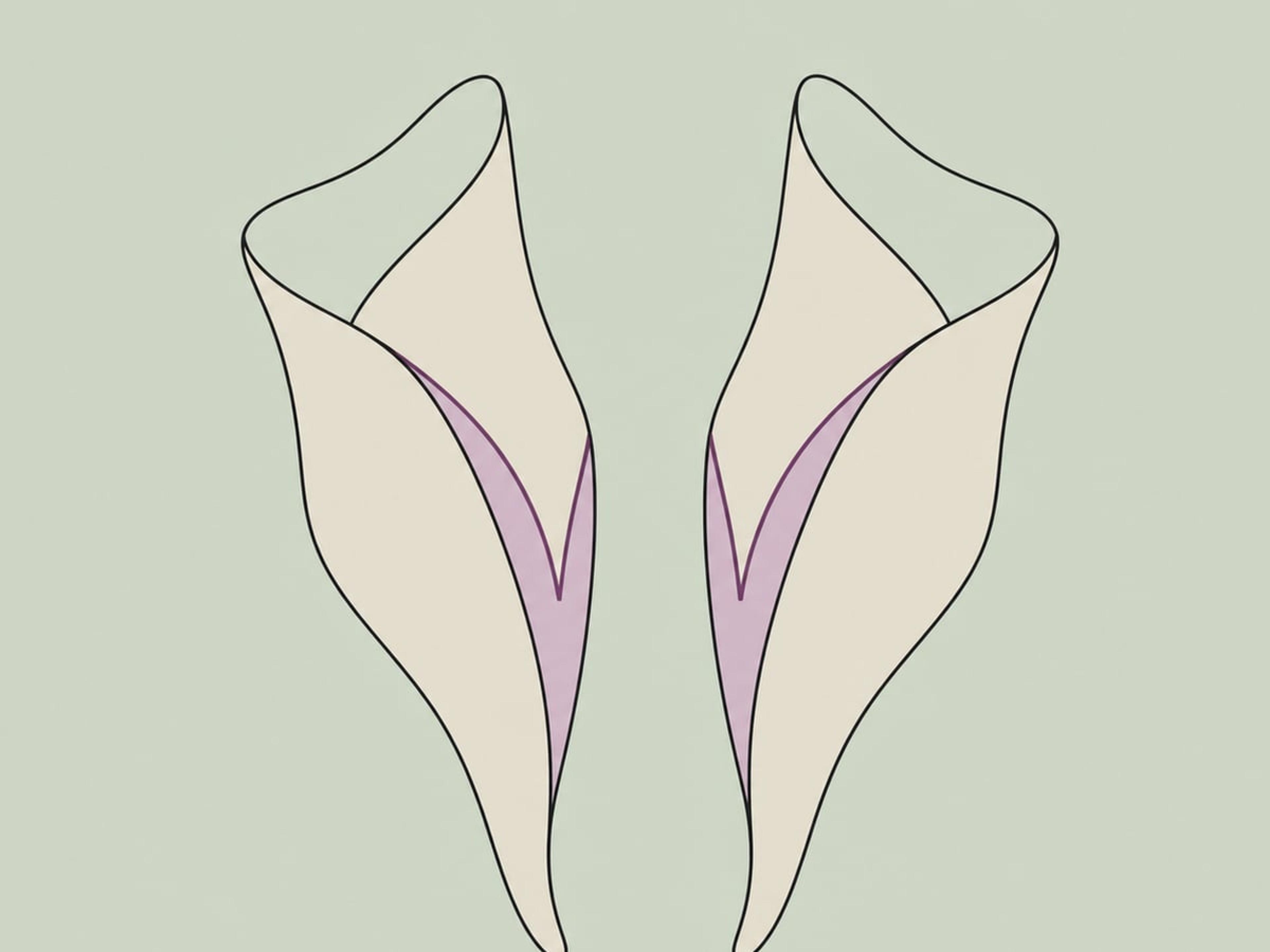 Keiltechnik — illustration