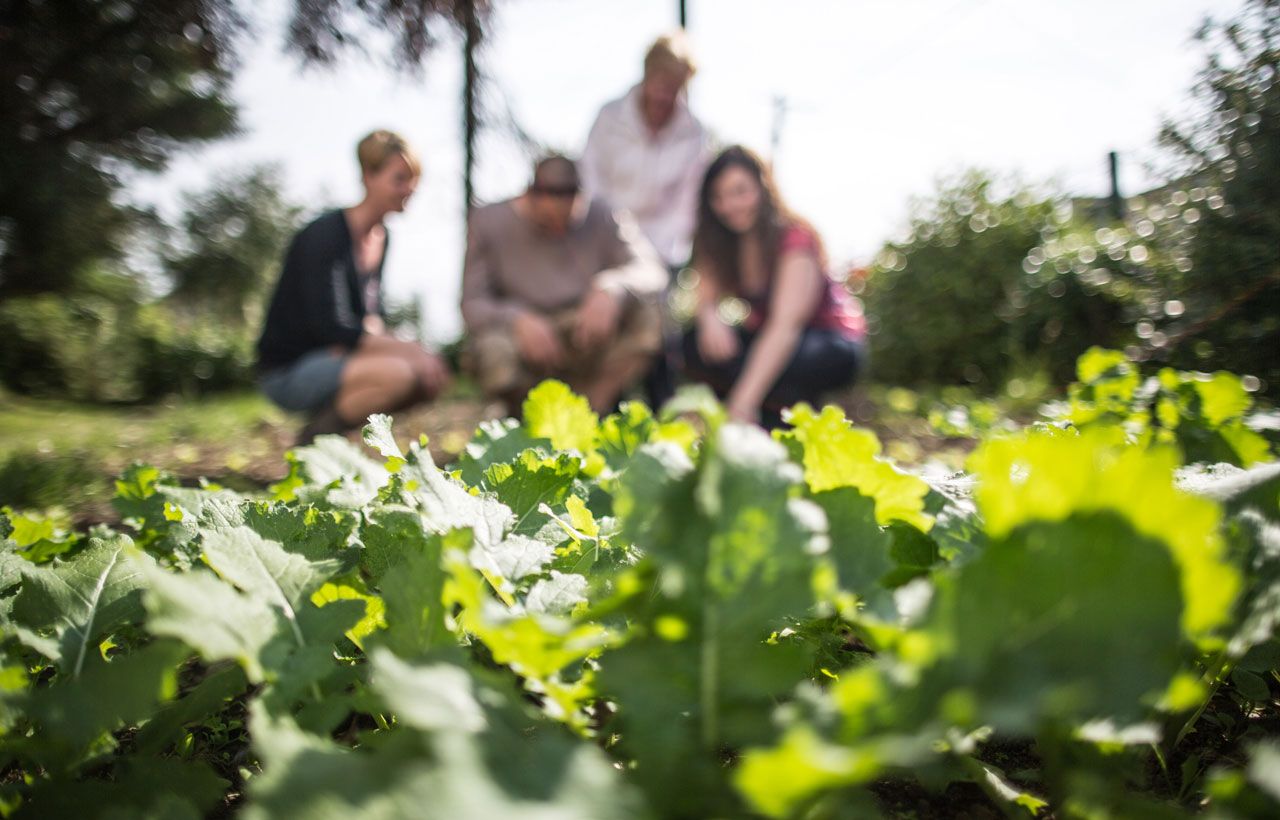 Uno spazio dove far crescere le tue idee