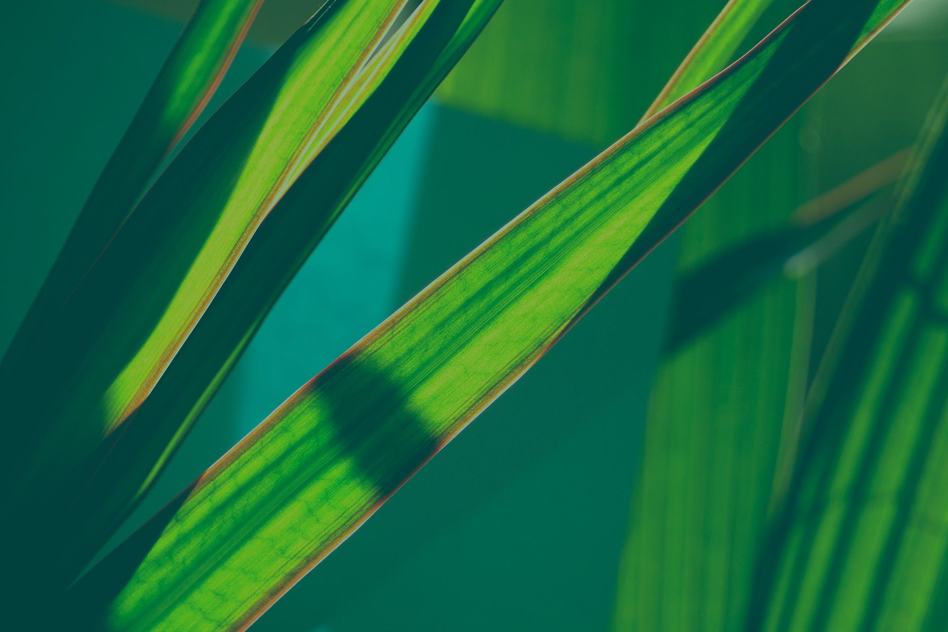 Un luogo da creare a tua immagine e somiglianza