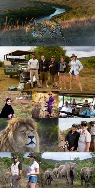 A group of people on a safari adventure, surrounded by wild animals, including a lion, a giraffe, and a elephant, in a savannah landscape with a lake in the background.
