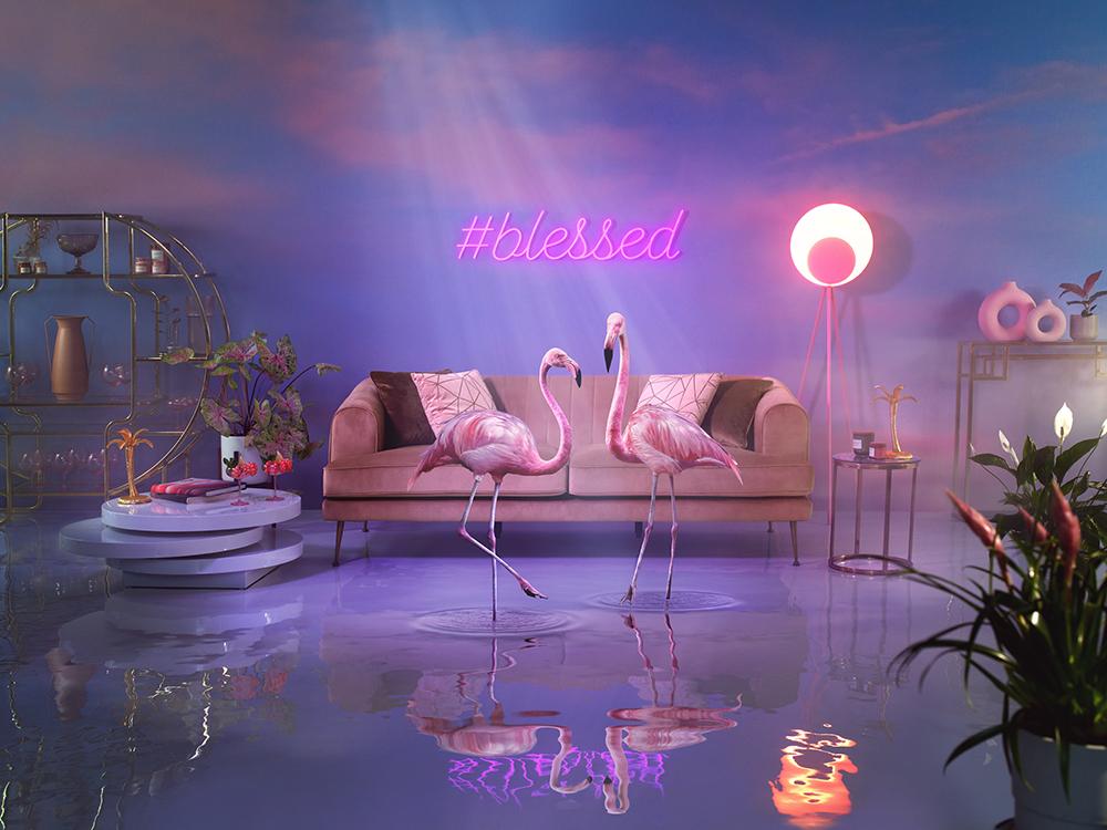 A living room with a couch, a coffee table, a bookshelf, and a few plants, with two flamingos standing in the middle of the room, surrounded by water.