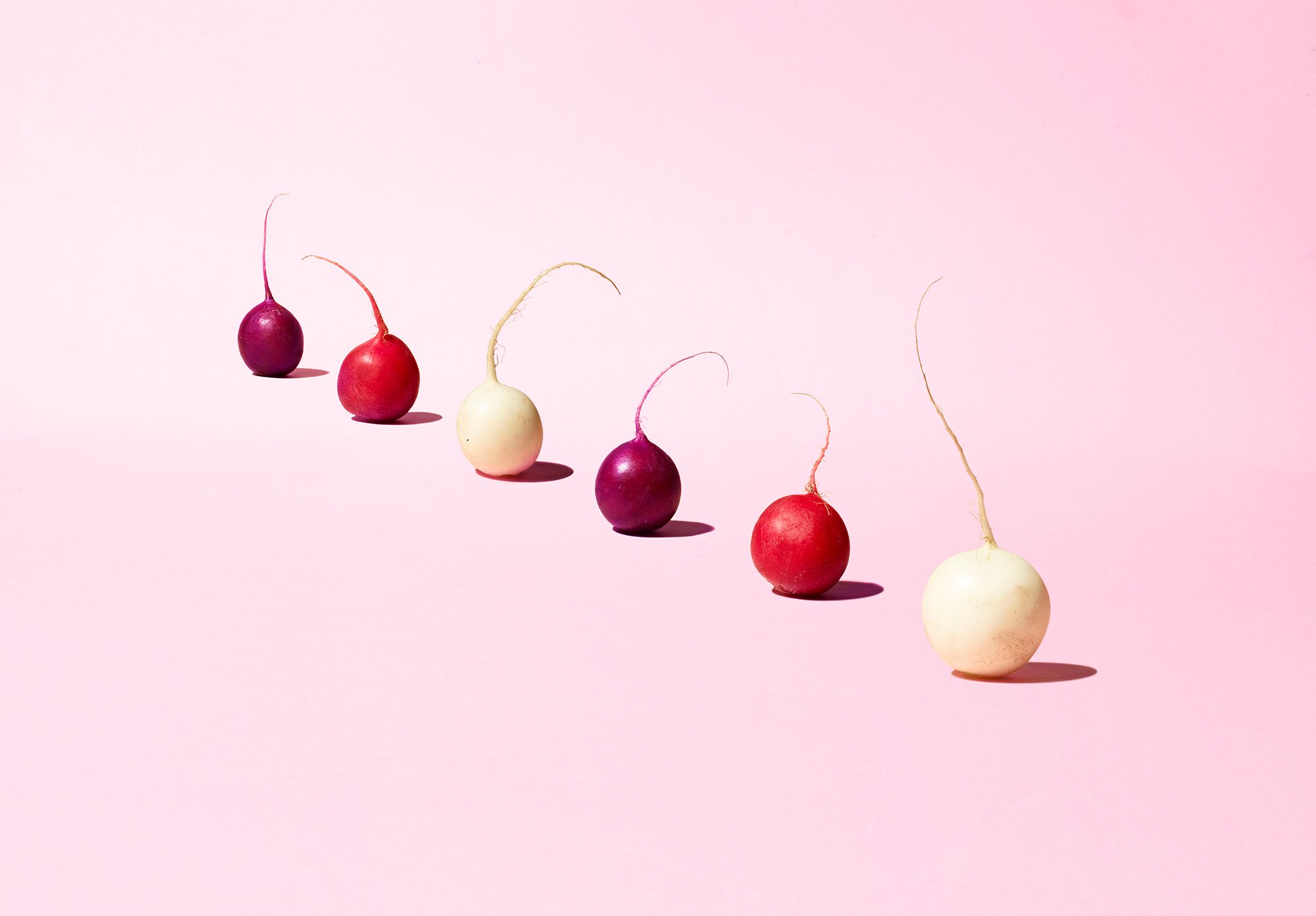 A group of radishes in various colors, including red, white, and purple, arranged in a line on a white background.