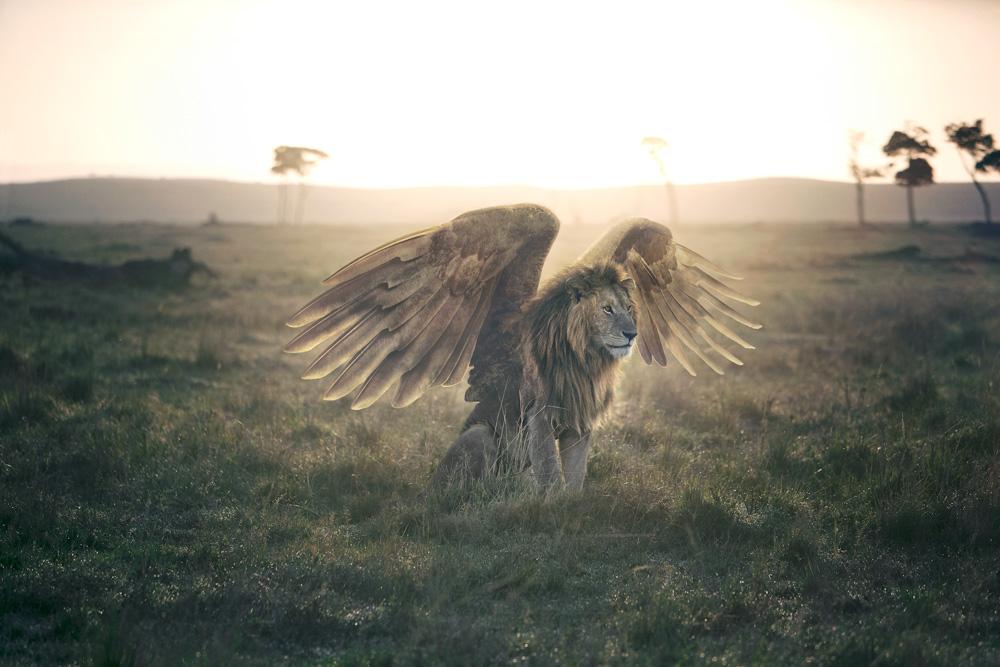 A lion with the body of an eagle, standing in a savannah-like landscape, with the sun setting in the background.